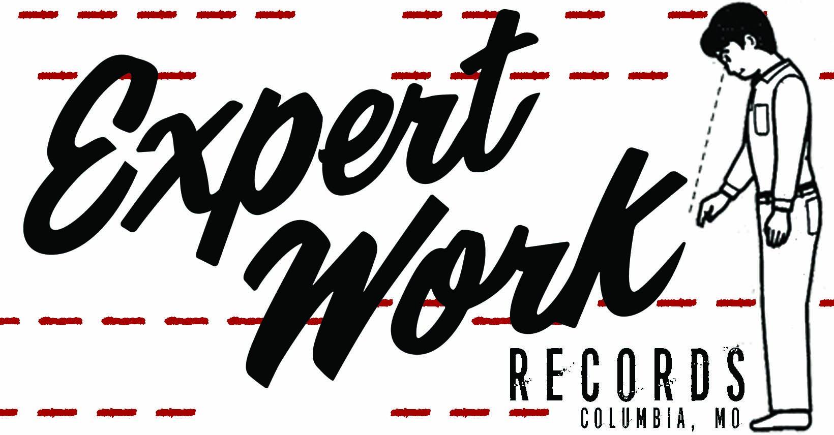 Expert Work Records